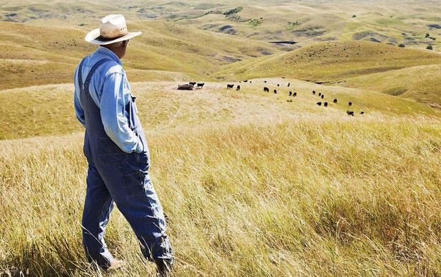 互聯(lián)網(wǎng)訂單農(nóng)業(yè)｜20萬消費(fèi)者變身農(nóng)場主