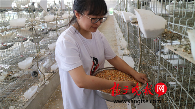 一個(gè)“80”后研究生的“綠色農(nóng)業(yè)夢(mèng)”：用“互聯(lián)網(wǎng)+”思維做農(nóng)業(yè)，新型職業(yè)農(nóng)民“潮”起來(lái)