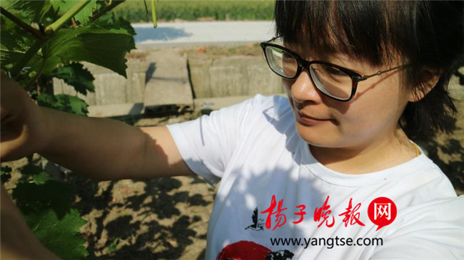 一個(gè)“80”后研究生的“綠色農(nóng)業(yè)夢(mèng)”：用“互聯(lián)網(wǎng)+”思維做農(nóng)業(yè)，新型職業(yè)農(nóng)民“潮”起來(lái)