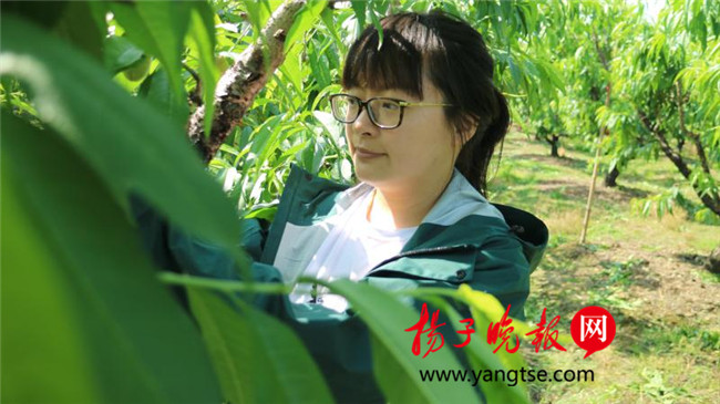 一個(gè)“80”后研究生的“綠色農(nóng)業(yè)夢(mèng)”：用“互聯(lián)網(wǎng)+”思維做農(nóng)業(yè)，新型職業(yè)農(nóng)民“潮”起來(lái)