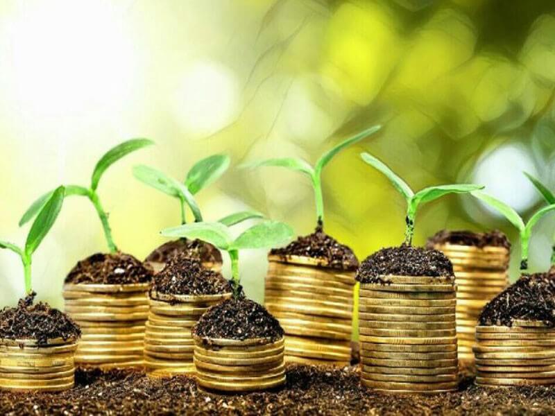 美國(guó)銀行發(fā)行22.5億美元綠色債券支持可再生能源