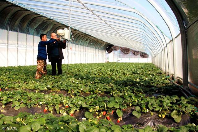 鍵盤聲替代了麻將聲，互聯(lián)網(wǎng)農(nóng)業(yè)變革正當(dāng)時(shí)