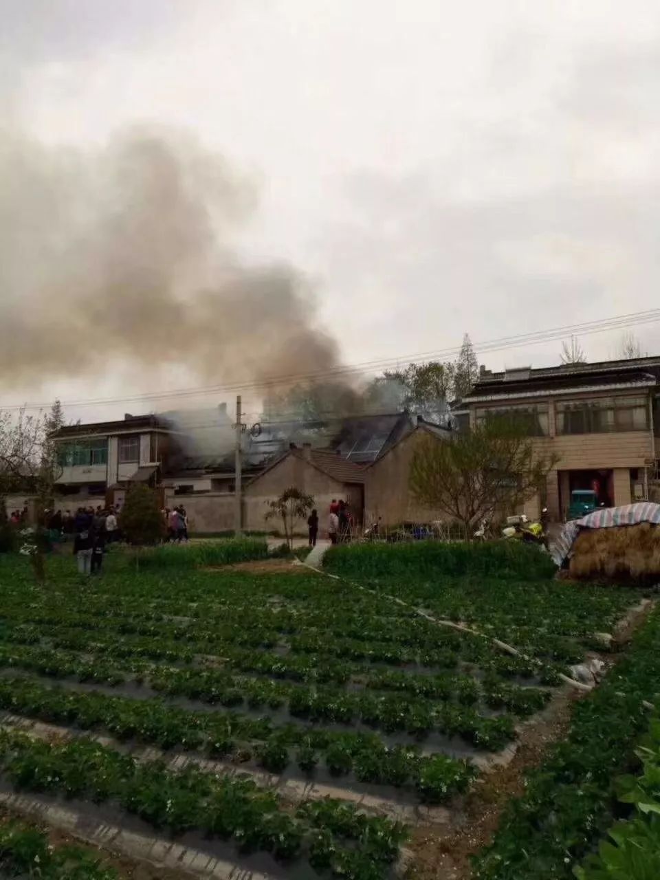 全國多起光伏火災(zāi)：損失數(shù)億元 虧損能否找回？