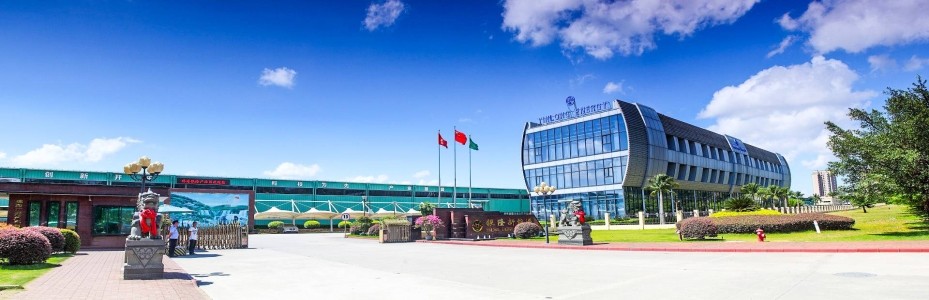 技術(shù)線(xiàn)路問(wèn)題？董小姐的造車(chē)夢(mèng)要黃了？