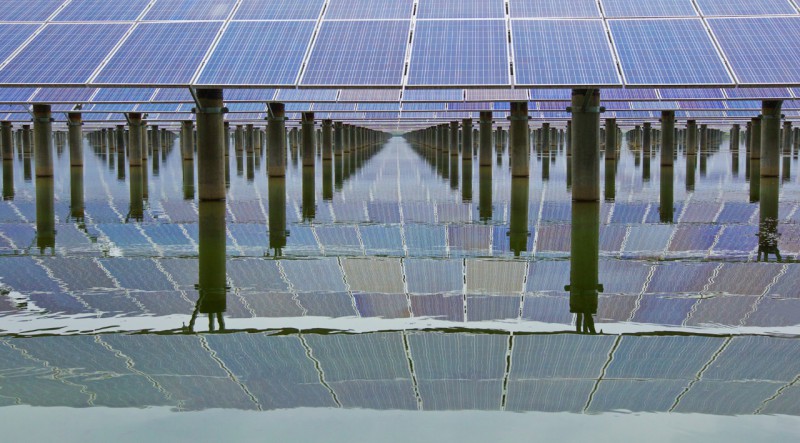 光伏產業(yè)可以軟著陸 “531新政”幅度過大得不償失