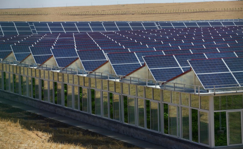 光伏產業(yè)可以軟著陸 “531新政”幅度過大得不償失