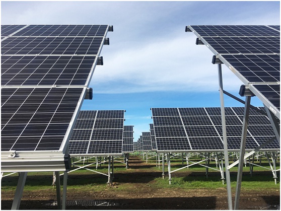 光伏新政板上釘釘 “凜冬”之中的轉(zhuǎn)機(jī)在哪里？