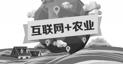 A5創(chuàng)業(yè)項(xiàng)目推薦：互聯(lián)網(wǎng)+農(nóng)業(yè)能碰撞出怎樣的新發(fā)展？