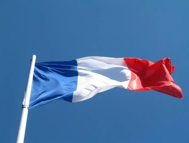 法國總統(tǒng)宣布——海上風電降電價！