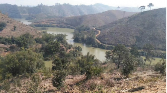 互聯(lián)網(wǎng)＋認養(yǎng)農(nóng)業(yè)，顛覆產(chǎn)業(yè)綻放輝煌