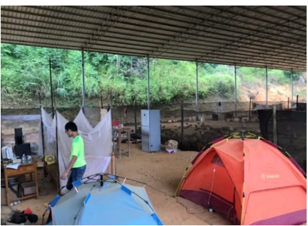 互聯(lián)網(wǎng)＋認養(yǎng)農(nóng)業(yè)，顛覆產(chǎn)業(yè)綻放輝煌