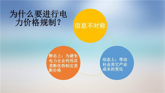 我國電力價格規(guī)制現(xiàn)狀、存在的問題及原因分析