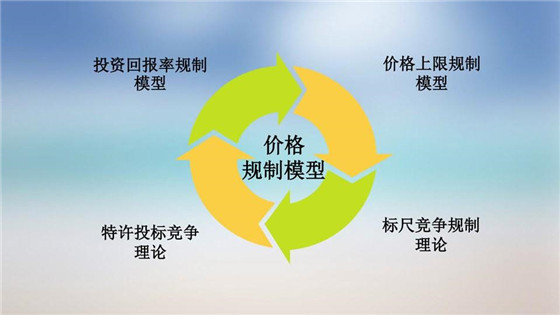 我國電力價格規(guī)制現(xiàn)狀、存在的問題及原因分析