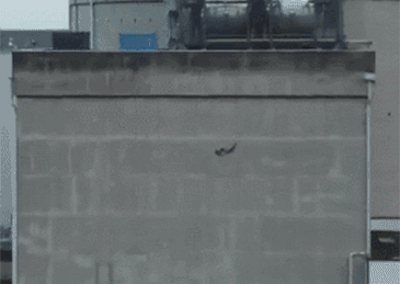 法國無人機撞核電站廢料池？！欲證明其脆弱