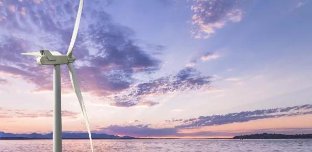 襁褓幼兒——海上風(fēng)電能否經(jīng)得起“競(jìng)價(jià)”風(fēng)波？