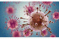 細菌也能作太陽能電池，光轉(zhuǎn)化電流密度創(chuàng)紀錄