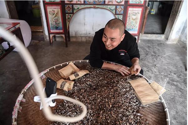 顛覆！裂變！賦能！互聯(lián)網(wǎng)+農(nóng)業(yè)領(lǐng)域的“豬飛起來了”