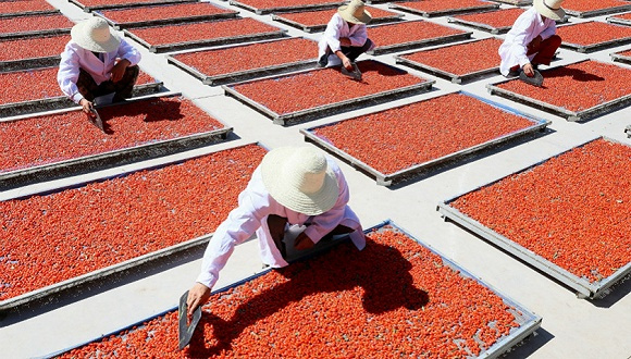 【圖解】“互聯(lián)網(wǎng)+農(nóng)業(yè)”讓鄉(xiāng)村振興“點擊”可見