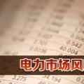 電力市場風(fēng)險(xiǎn)管理方法