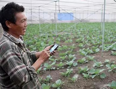 國務(wù)院常務(wù)會議鼓勵的“互聯(lián)網(wǎng)+農(nóng)業(yè)”創(chuàng)新手段，幫你找到了案例