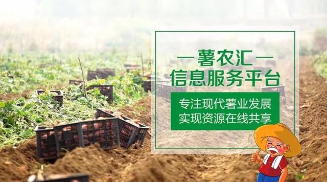 “互聯(lián)網(wǎng)+農(nóng)業(yè)”，創(chuàng)造農(nóng)村發(fā)展新活力