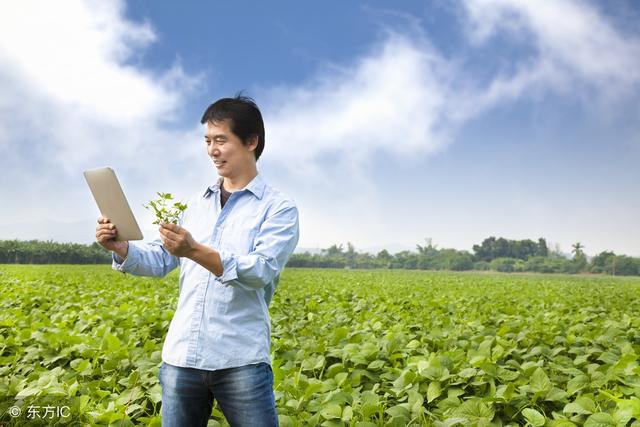 2018年農(nóng)村電商巨頭卡位戰(zhàn)：互聯(lián)網(wǎng)+農(nóng)業(yè)新玩法！