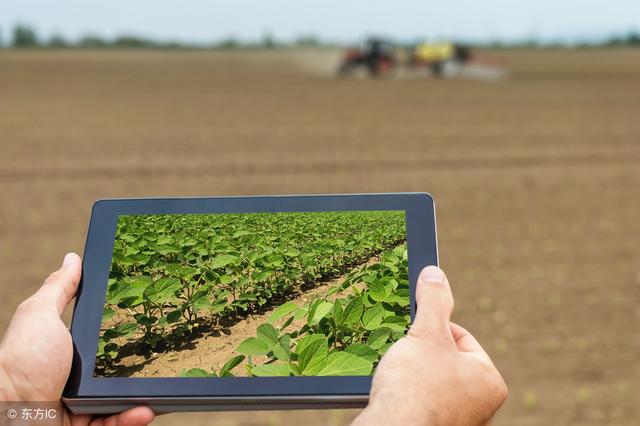 2018年農(nóng)村電商巨頭卡位戰(zhàn)：互聯(lián)網(wǎng)+農(nóng)業(yè)新玩法！