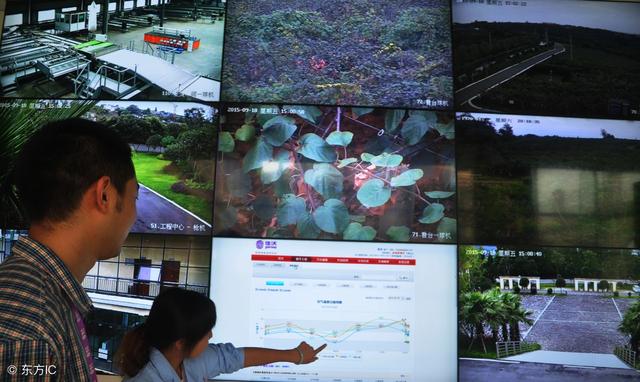 2018年農(nóng)村電商巨頭卡位戰(zhàn)：互聯(lián)網(wǎng)+農(nóng)業(yè)新玩法！