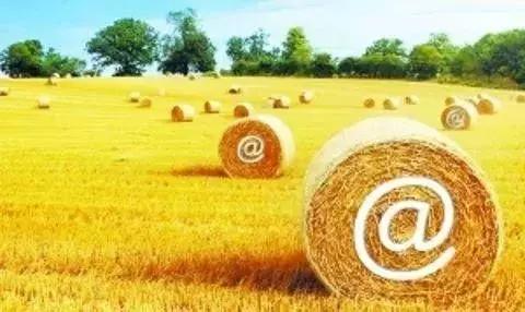 2018年農(nóng)村電商巨頭卡位戰(zhàn)：互聯(lián)網(wǎng)+農(nóng)業(yè)新玩法！