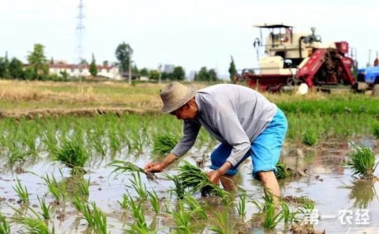 鄉(xiāng)村振興中的“互聯(lián)網(wǎng)+農(nóng)業(yè)”到底指的是什么？