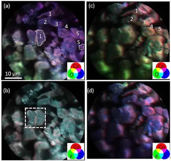 最新發(fā)現(xiàn) 導電劑、粘結劑的分布可能導致鋰離子電池正極材料熱失控