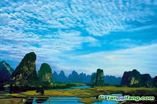 “不為人知”的碳匯效應(yīng)