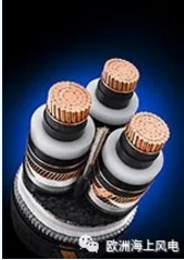 全球首次！海上風(fēng)電66kV<font color=