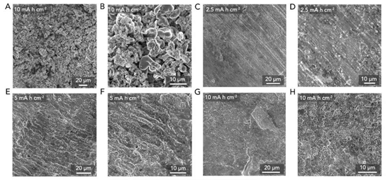 MOF基電解質(zhì)有效抑制鋰枝晶 促進(jìn)鋰金屬電池鈦酸鋰負(fù)極材料性能
