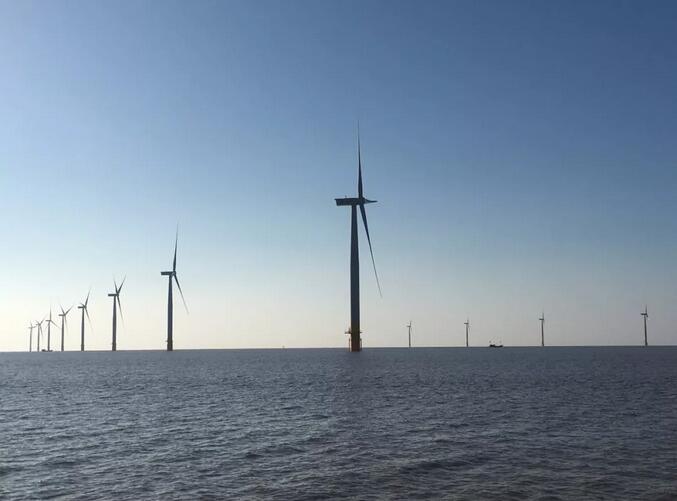 我國(guó)首個(gè)遠(yuǎn)海潮間帶項(xiàng)目提前110天全部進(jìn)入質(zhì)保期