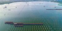 泗洪光伏發(fā)電應(yīng)用領(lǐng)跑基地2、4號漁光互補<font color=