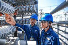 報(bào)告！1000千伏特高壓南陽站檢修完畢