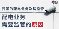 配電業(yè)務(wù)需要監(jiān)管的原因、我國(guó)的配電業(yè)務(wù)及其監(jiān)管