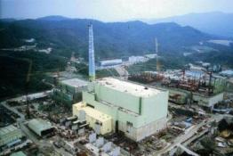 真要用愛發(fā)電？臺(tái)灣主管部門被傳將賤賣“核四”燃料棒