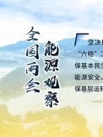 讀圖｜2020政府工作報告中這些內(nèi)容，和能源電力有關(guān)！