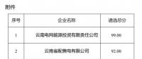 2025年云南電力市場保底售電公司候選名單公示！